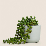 Green Artificial Plant With Pot