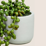 Green Artificial Plant With Pot