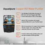 RO Water Purifier With Alkaline, UV+UF+TDS, Active Copper and Taste Adjuster, Wall or Countertop Installation, 12L Storage Black Transparent